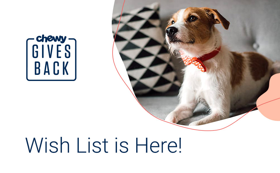 Chewy Gives Back - Wish List is Coming Soon!